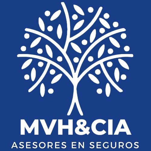 ASESORES EN SEGUROS (250 x 50 px) (500 x 500 px)